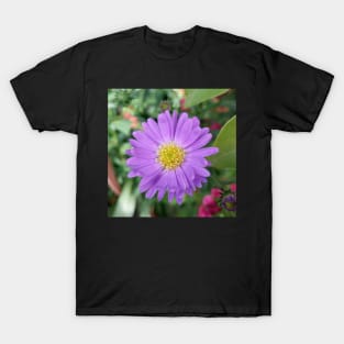 Purple Aster T-Shirt